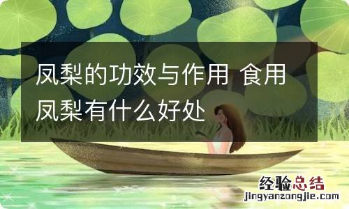 凤梨的功效与作用 食用凤梨有什么好处