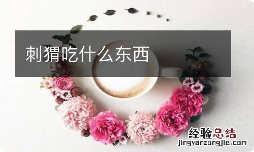 刺猬吃什么东西