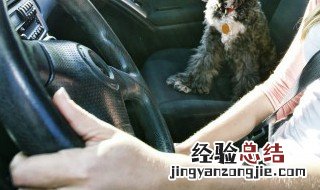 汽车空调出风口怎样清洗 汽车空调出风口怎么清洗