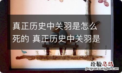 真正历史中关羽是怎么死的 真正历史中关羽是如何死的