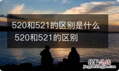 520和521的区别是什么 520和521的区别