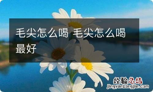 毛尖怎么喝 毛尖怎么喝最好