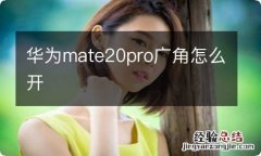 华为mate20pro广角怎么开