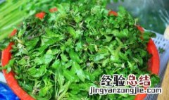 荠菜放冰箱里怎么保存 荠菜放冰箱里怎么保存好