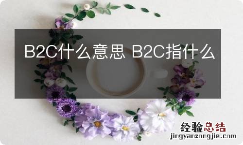 B2C什么意思 B2C指什么