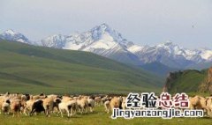 天山在哪里 天山在什么地方