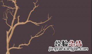 治死树的方法 五个方面教给大家