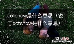 锐志ectsnow是什么意思 ectsnow是什么意思