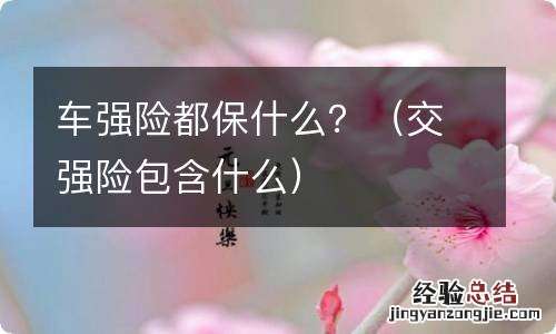 交强险包含什么 车强险都保什么？