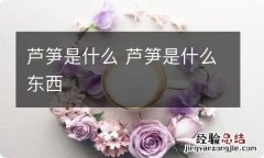 芦笋是什么 芦笋是什么东西