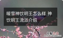 暖雪神饮明王怎么样 神饮明王流派介绍