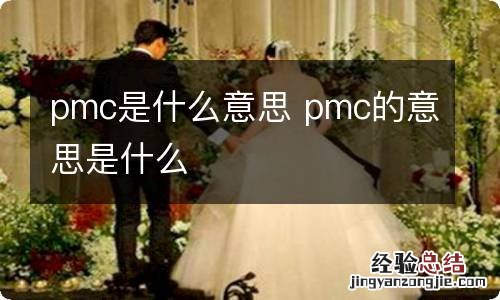 pmc是什么意思 pmc的意思是什么