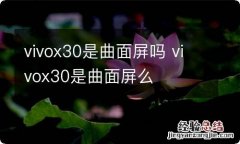 vivox30是曲面屏吗 vivox30是曲面屏么