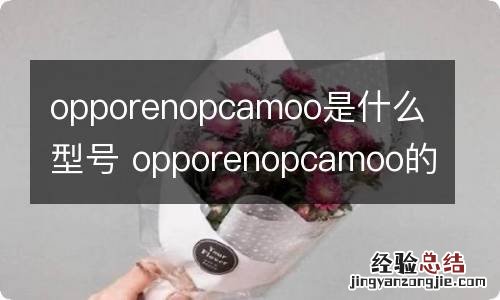 opporenopcamoo是什么型号 opporenopcamoo的型号是什么