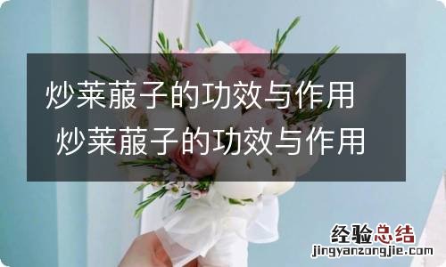 炒莱菔子的功效与作用 炒莱菔子的功效与作用及禁忌