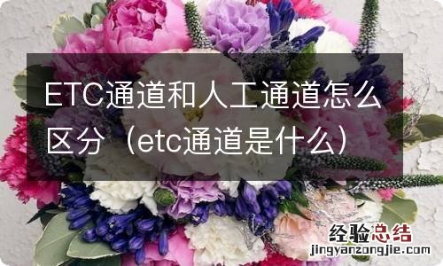 etc通道是什么 ETC通道和人工通道怎么区分