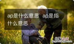 ap是什么意思ap是指什么意思