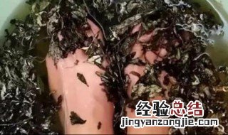 艾叶泡脚可以加冷水吗 艾叶泡脚可以加冷水吗女性