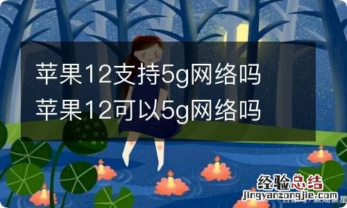 苹果12支持5g网络吗苹果12可以5g网络吗