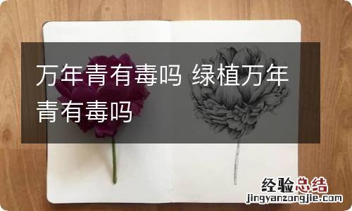 万年青有毒吗 绿植万年青有毒吗