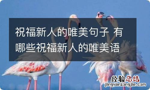 祝福新人的唯美句子 有哪些祝福新人的唯美语句