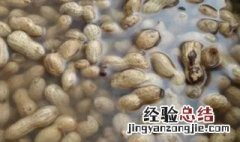 煮熟的花生放冰箱能保存多久 煮熟的花生放冰箱能保存多久呢