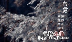 白露下来什么节气 白露到什么节气