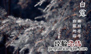 白露下来什么节气 白露到什么节气