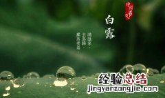 白露节气需要注意什么 白露节气小知识