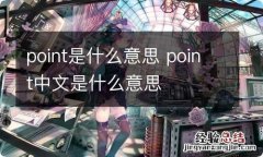 point是什么意思 point中文是什么意思