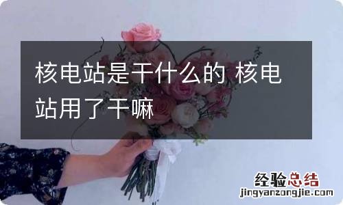 核电站是干什么的 核电站用了干嘛