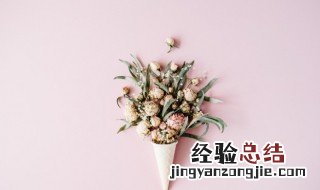 煮熟的花种为什么不能发芽 煮熟的花种为什么不能发芽呢?