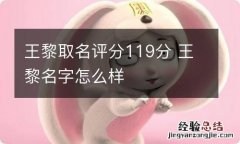 王黎取名评分119分 王黎名字怎么样