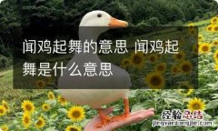 闻鸡起舞的意思 闻鸡起舞是什么意思