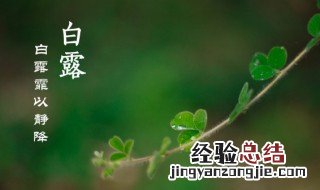 白露吃龙眼有什么好处 白露节气为什么吃龙眼