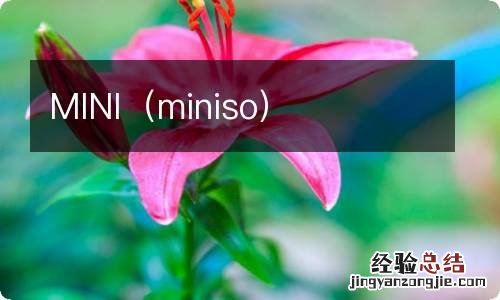 miniso MINI