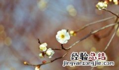 春耕是什么季节 春耕一般在什么节气