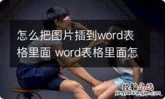 怎么把图片插到word表格里面 word表格里面怎么插入图片