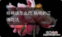 杨桃该怎么吃 杨桃的正确吃法