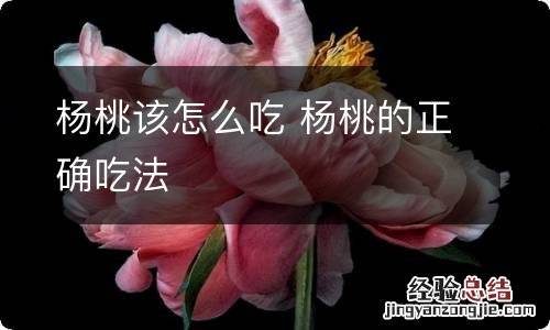 杨桃该怎么吃 杨桃的正确吃法