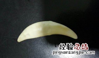 真假狼牙鉴别方法 手把手教给大家