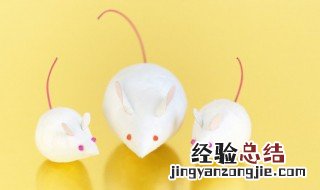 老鼠怕什么味道