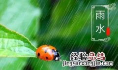 小雨是节气吗 小雨是什么节气