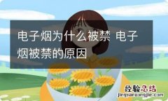 电子烟为什么被禁 电子烟被禁的原因