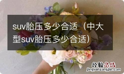 中大型suv胎压多少合适 suv胎压多少合适