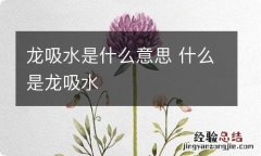 龙吸水是什么意思 什么是龙吸水