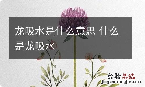 龙吸水是什么意思 什么是龙吸水