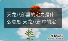 天龙八部里的定力是什么意思 天龙八部中的定力身法都代表了什么