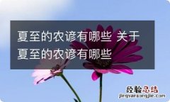 夏至的农谚有哪些 关于夏至的农谚有哪些