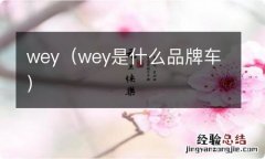 wey是什么品牌车 wey